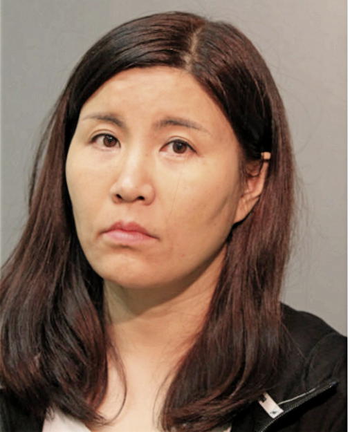 ZOU XIAOFANG, Cook County, Illinois