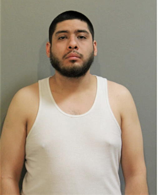ROY J ABARCA, Cook County, Illinois