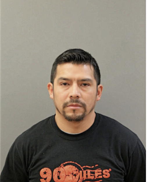 SAUL ALVAREZ, Cook County, Illinois