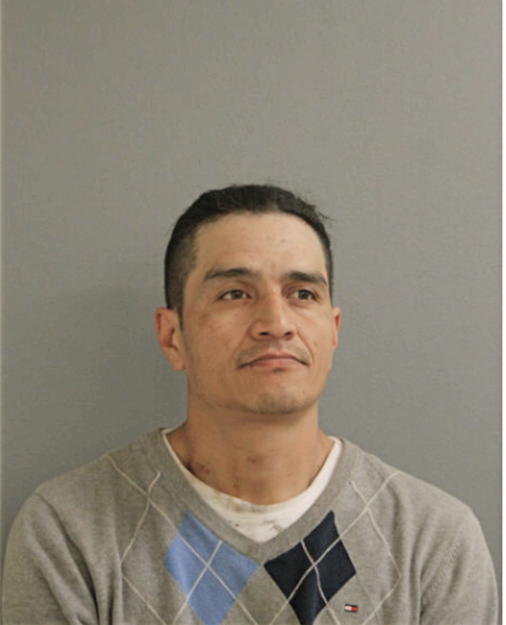 MIGUEL ARREAGA, Cook County, Illinois