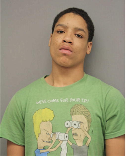 DAVON T BATTISTE, Cook County, Illinois
