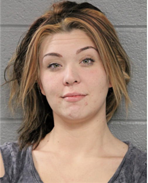 AMANDA D BUERER, Cook County, Illinois