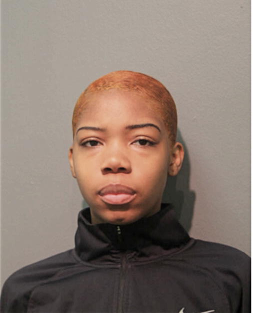 ELANISE A DABNEY, Cook County, Illinois