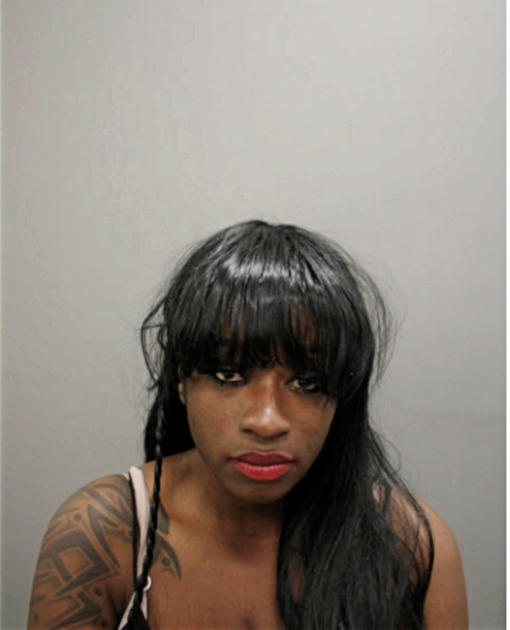 JANAY N DORSEY, Cook County, Illinois