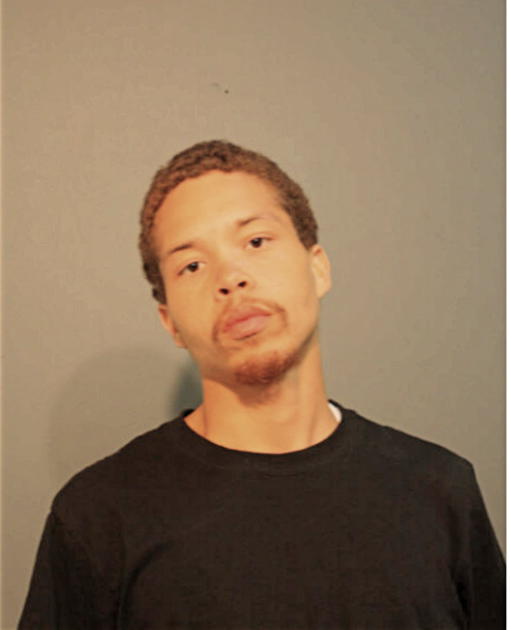 RYAN C EVERSON, Cook County, Illinois