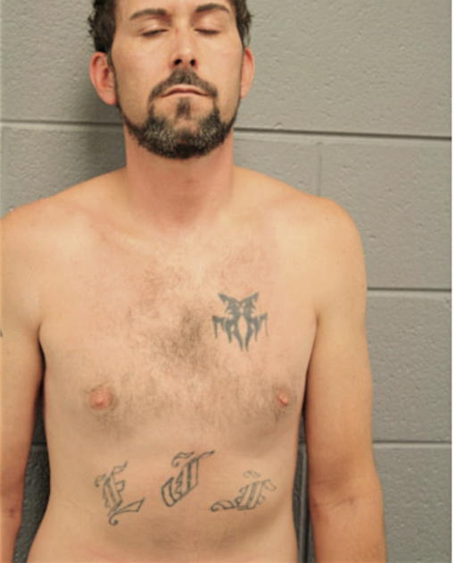 ERIC J FANNING, Cook County, Illinois