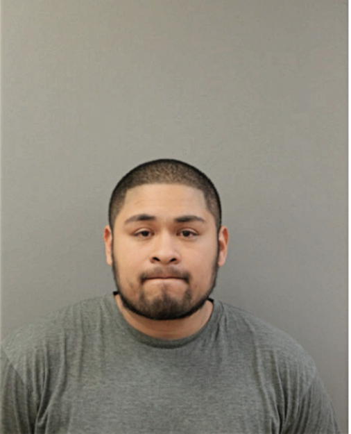 FILIBERTO FERNANDEZ, Cook County, Illinois