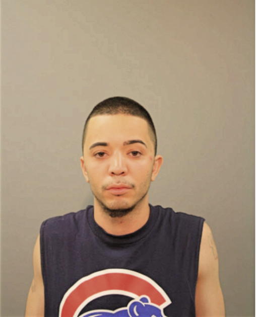 LEONARDO FERNANDO, Cook County, Illinois