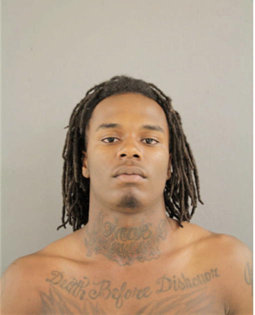 JOSHUA GHOLSTON-WATSON, Cook County, Illinois