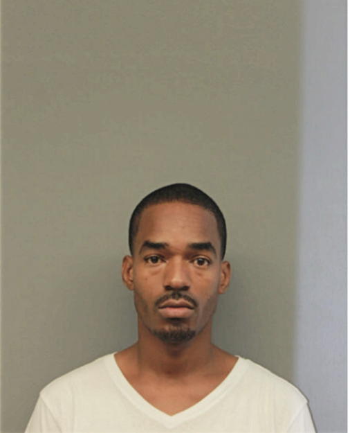 SHANNON D GIBSON, Cook County, Illinois