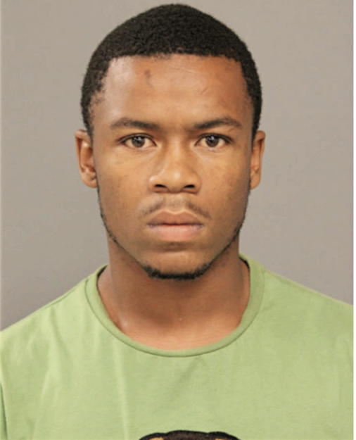 JAMARI A GOODMAN, Cook County, Illinois