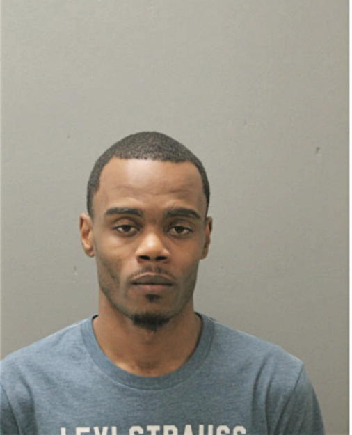 LARICE S GORDON, Cook County, Illinois