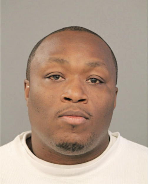 KENNETH T MCKENZIE, Cook County, Illinois