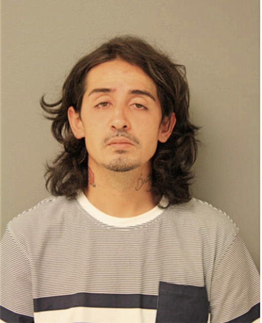 JESSE J MENDEZ, Cook County, Illinois