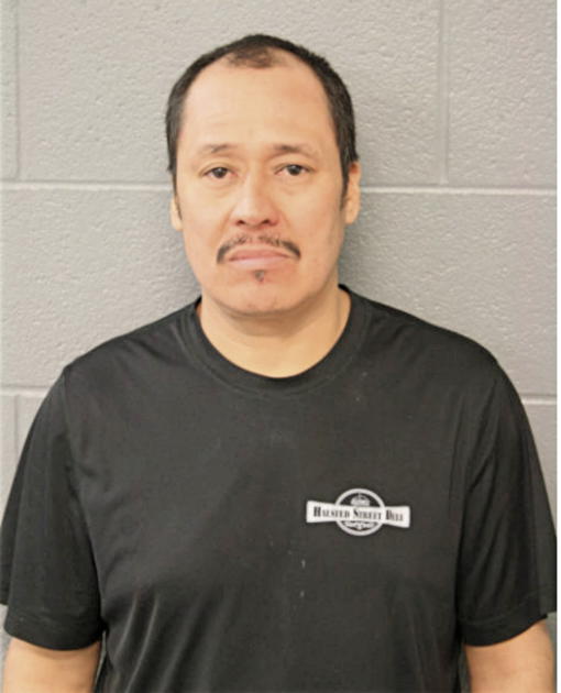 FERMIN MENDOZA, Cook County, Illinois