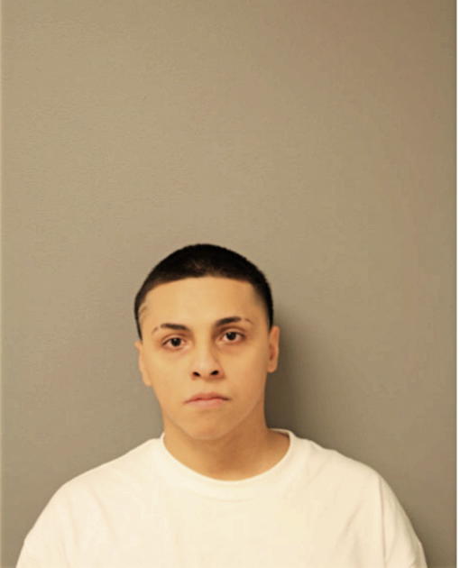 RICARDO MENDOZA, Cook County, Illinois