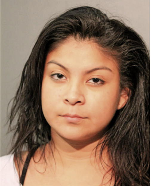 VANESSA SANCHEZ, Cook County, Illinois