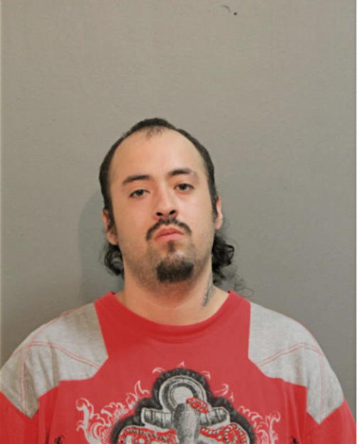 DINO VENEGAS, Cook County, Illinois