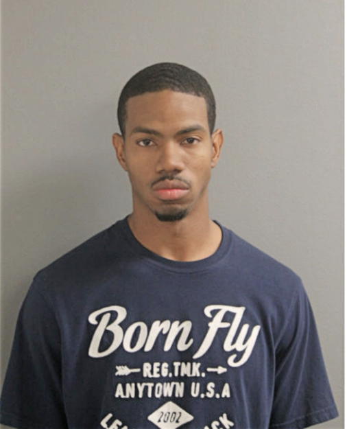 ANDREW M WILLIAMS, Cook County, Illinois