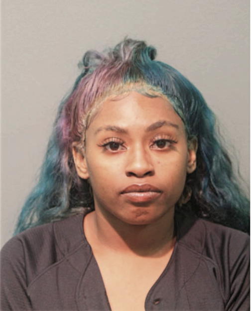 NINA S WILLIAMS, Cook County, Illinois