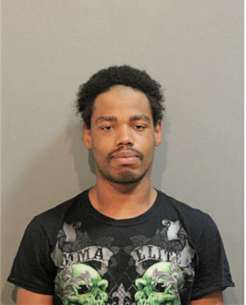 KYLE J ALLEN, Cook County, Illinois