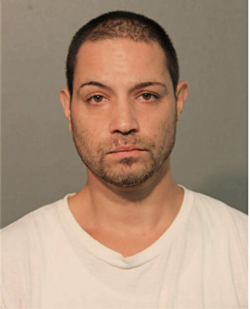 JASON ARES, Cook County, Illinois