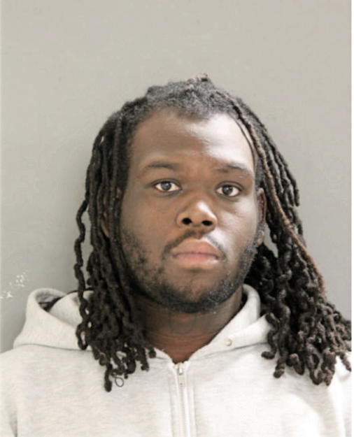 SHAWN J BROWN, Cook County, Illinois