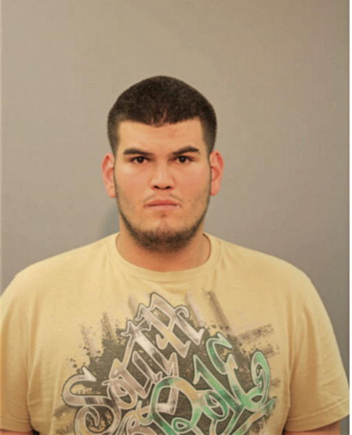 LUIS A CORTEZ, Cook County, Illinois