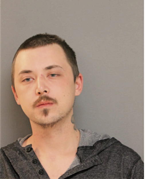 RYAN W CROSS, Cook County, Illinois