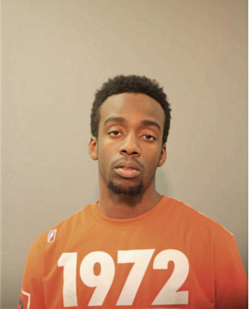 MICHAEL S ELLIS, Cook County, Illinois