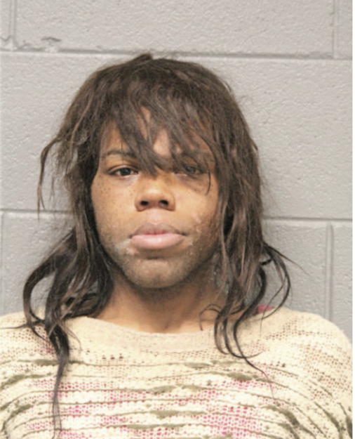 TERREL A EVANS, Cook County, Illinois