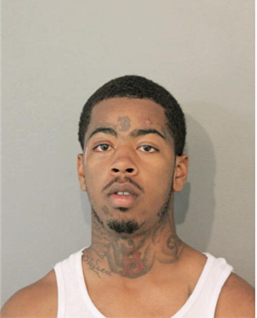ANTHONY F SALLAY, Cook County, Illinois