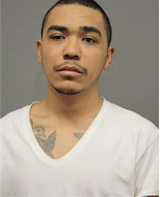 JERMAINE FOX, Cook County, Illinois