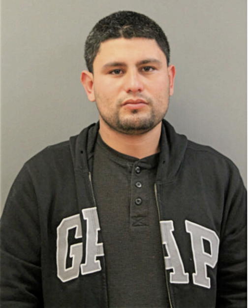 HECTOR E GURROLA, Cook County, Illinois