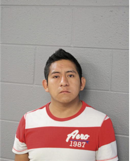 EMMANUEL HERNANDEZ, Cook County, Illinois