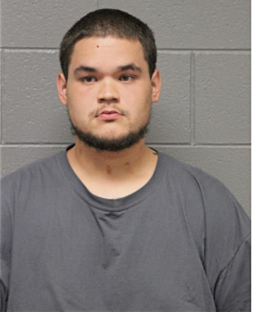 JORGE R HERNANDEZ, Cook County, Illinois