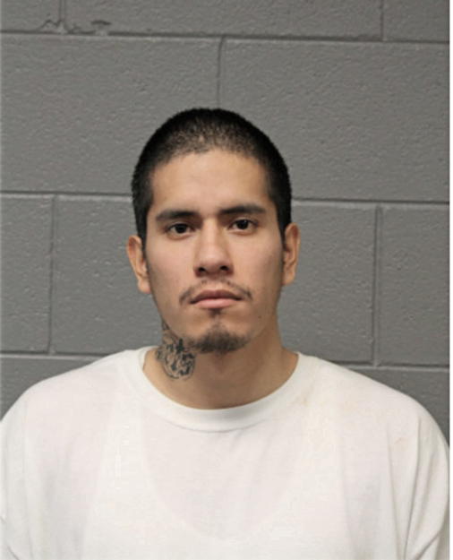 DAFNIZ HERNANDEZ-MANCILLA, Cook County, Illinois