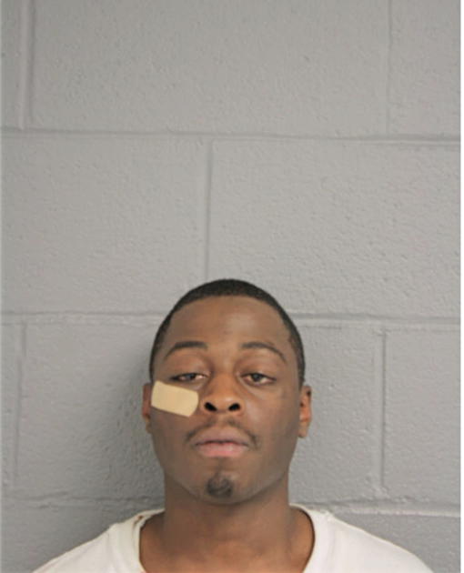 ENEREMUS D LOWE, Cook County, Illinois
