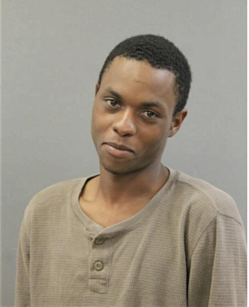DEVONTE A LUCIOUS, Cook County, Illinois