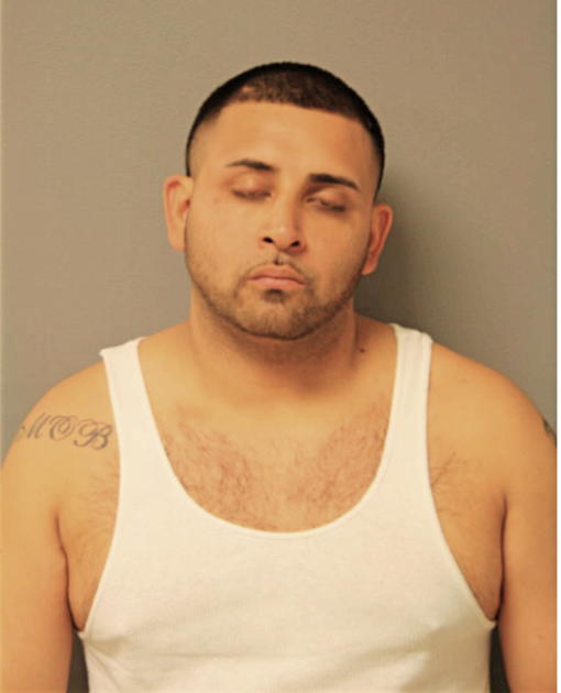 JONATHAN A LUNA, Cook County, Illinois