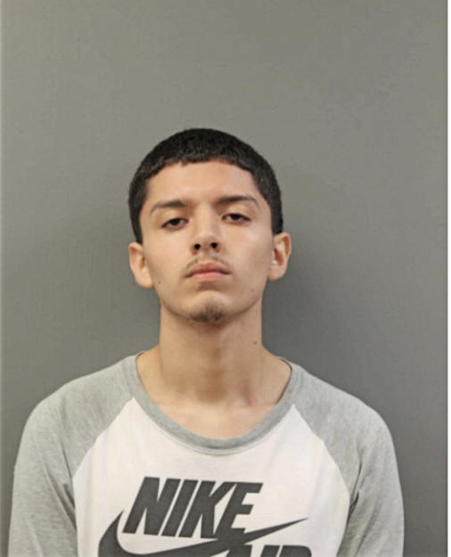 ROBERTO LUNA, Cook County, Illinois