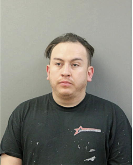 HECTOR J MARTINEZ, Cook County, Illinois