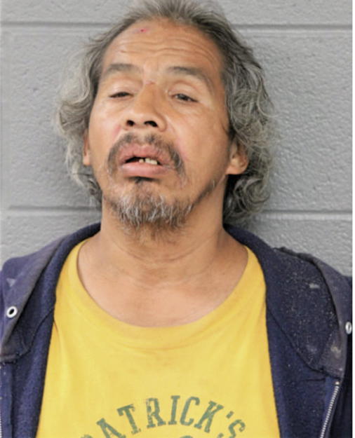 STEVE C MARTINEZ, Cook County, Illinois