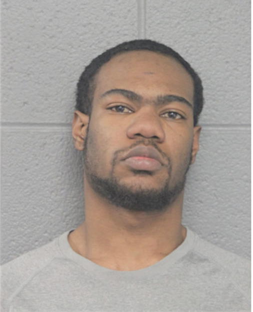 BRANDON T MEYERS, Cook County, Illinois