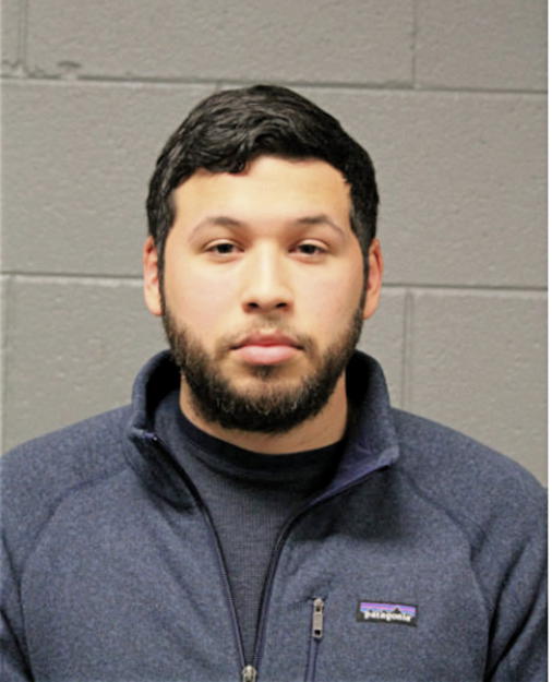 ALONZO NAVAREZ, Cook County, Illinois