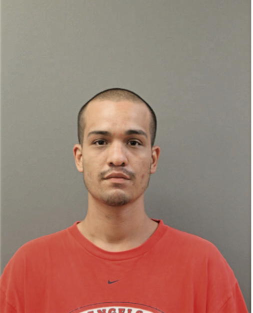 STEVE PALMA, Cook County, Illinois