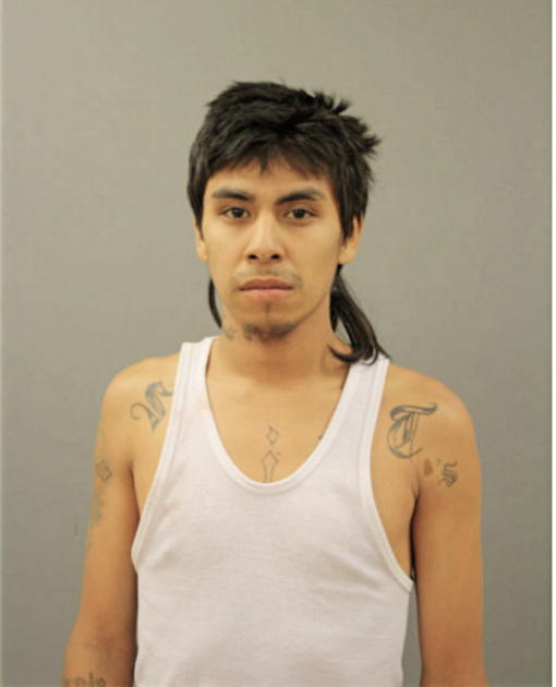 MARTIN R RAMIREZ, Cook County, Illinois