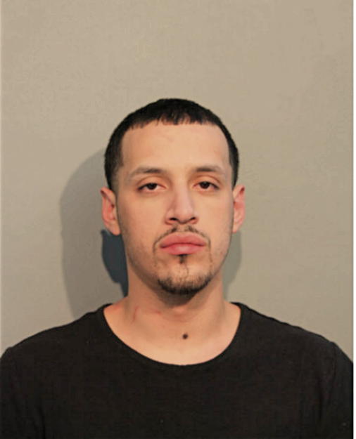 FABIAN A RESTREPO, Cook County, Illinois