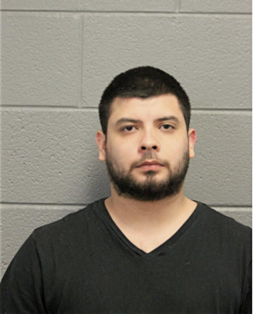 JULIAN S RUIZ, Cook County, Illinois