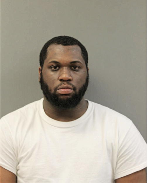 DIMITRI J STEPHEN, Cook County, Illinois